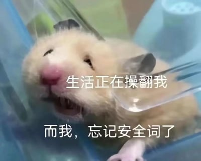 一只浅黄色的仓鼠被困在透明容器中，嘴巴微张，眼神透露出惊恐和无奈。图片上覆盖着两行白色文字：“生活正在操翻我”和“而我，忘记安全词了”，通过仓鼠的表情与文字结合，幽默地表达了面对生活压力时的无助感。
