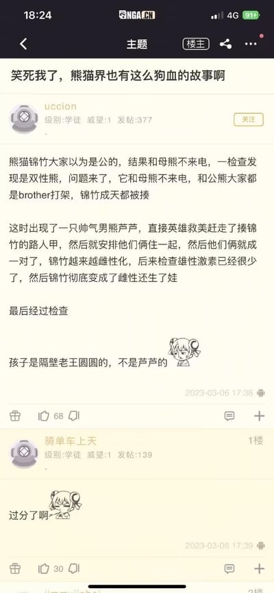 这是一张社交媒体论坛帖子截图，楼主“uccion”以“笑死我了，熊猫界也有这么狗血的故事啊”为标题，分享了一段关于熊猫锦竹的戏剧性经历：锦竹最初被误认为雄性，因与母熊不亲近、与公熊打架，经检查发现是双性熊；随后“帅气男熊”芦芦出现并与锦竹配对，锦竹逐渐雌性化并生下幼崽，最终却发现幼崽是邻居熊猫圆圆的。帖子下方有用户“骑单车上天”评论“过分了”并配卡通表情，整体内容充满网络流行的“狗血”剧情元素，风格幽默搞笑，引发读者对熊猫“八卦”的兴趣。