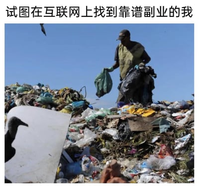 这是一张自嘲类梗图，图片上方配有文字“试图在互联网上找到靠谱副业的我”，图中主体是一位站在垃圾山上的拾荒者，他正手持垃圾袋在堆积的垃圾中翻找物品，周围是大量杂乱的垃圾和秃鹫。该图用拾荒者在垃圾里寻找有用物品的场景，比喻想要在互联网海量繁杂的信息中寻找靠谱副业的状态：互联网上大部分关于副业的信息都是无用的“垃圾”，真正靠谱的副业机会如同垃圾里的可回收物一样稀少，精准戳中了当代人想要寻找副业增收却面对海量无效信息、难以找到有效机会的无奈与焦虑。