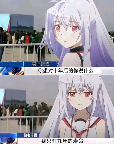 这是一张由网友创作的改编梗图，采用上下拼接的对比形式，将动画《可塑性记忆》中的角色艾拉与街头采访的新闻场景合成。上半部分模拟媒体记者的提问场景，记者询问“你想对十年后的你说什么”，艾露出惊讶又带着悲伤的神情；下半部分艾拉以“热心市民”的身份给出回应“我只有九年的寿命”。结合《可塑性记忆》中艾拉作为Giftia型机器人仅有9年寿命的剧情设定，这个回答形成了强烈的情感反差，将角色的命运悲剧融入到日常采访的语境中，充满催泪效果，精准戳中动漫爱好者的情感共鸣点。