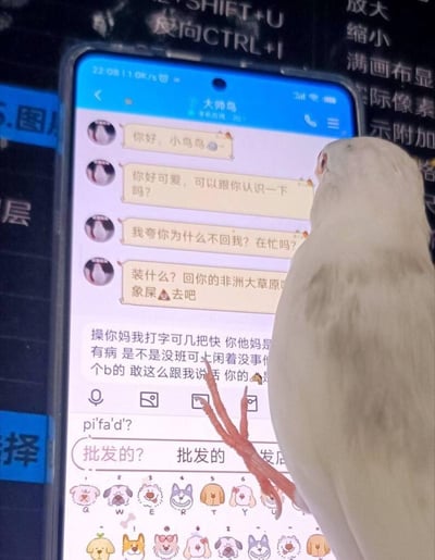 一只小鸟站在智能手机旁，好奇地注视着屏幕。手机显示着与名为"大师鸟"的用户的聊天记录，对话从最初的友好问候"你好，小鸟鸟~"和"你好可爱，可以跟你认识一下吗？"迅速转变为攻击性语言，如"装什么？回你的非洲大草原象屎去吧"等。这种人类化的愤怒与小鸟无辜注视的画面形成鲜明对比，产生幽默效果。手机输入法显示用户正在输入"pi'fa'd?"，候选词为"批发的?"。