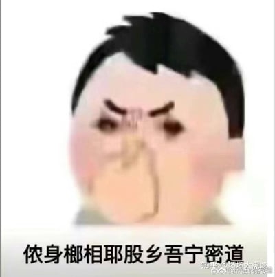 这是一张趣味方言谐音梗表情包，图中是一个眉头紧皱、脸颊泛红的卡通圆脸人物，面部神态愤怒不悦，看起来情绪十分激动。下方配有用近似普通话汉字标注的上海话谐音文字“侬身榔相耶股乡吾宁密道”，实际对应上海口语“侬啥模样啊，跟我讲道理”，用谐音写法制造出“听不懂但能感受到火气”的搞笑反差，适合用来表达愤怒、不满、质问的情绪，也可用于方言爱好者之间玩梗。