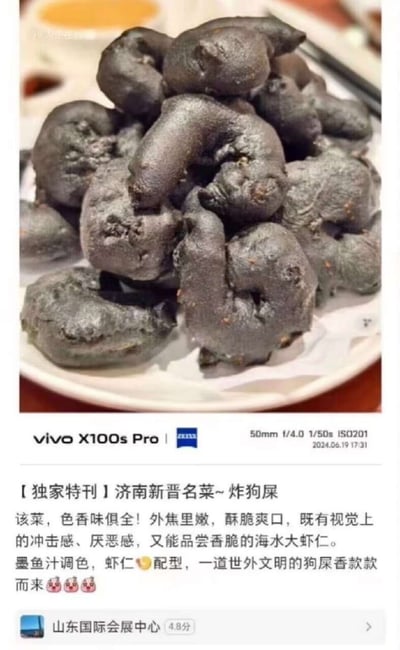 这张图文内容的上半部分是实拍的一盘黑色不规则油炸食物，整体外观凹凸粗糙，视觉上类似粪团，盛放在白色餐盘中，背景能看到餐具和橙色蘸料。图片下方标注了拍摄设备为vivo X100s Pro，附带拍摄参数和2024年6月19日的拍摄时间。下方配文调侃该菜品为济南新晋名菜“炸狗屎”，说明其实际是用墨鱼汁调色、以虾仁为原料制作的炸物，口感外焦里嫩酥脆，虽然外形容易引发不适，但食用口感佳，发布定位为山东国际会展中心。