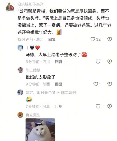 这是一段抖音评论区的截图，最高赞评论用「公司是青楼，要尽快赎身而非争头牌」的辛辣比喻，自嘲当代打工人的尴尬处境：既没能成功「赎身」脱离职场困境，也没成为优秀的「头牌」，反而落得一身疲惫还被领导指责，未来还会因年龄被嫌弃，精准戳中职场人的无奈痛点。下方其他网友纷纷回复，有人直言被整破防，有人感慨比喻太形象，还有人用震惊猫咪表情包表达情绪，整体是打工人对职场困境的共鸣式吐槽，无谐音梗、双关或暗示内容。