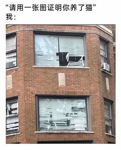 这是一张趣味梗图，上方文字提出“请用一张图证明你养了猫”的趣味要求，下方展示了一栋红砖居民楼的窗户，多扇窗户内的百叶窗被抓得凌乱破损，从建筑外部视角看，破损的百叶窗恰好组合出猫的轮廓。图中用这种充满画面感的“破坏现场”，幽默地呼应了养猫家庭中猫咪爱抓挠物品的典型特点，以夸张又真实的方式完成“证明养猫”的要求，能引发养猫群体的强烈共鸣。