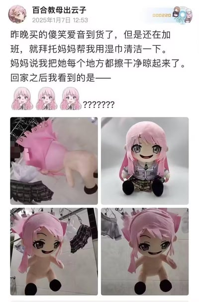 微博用户「百合教母出云子」分享了自己的生活趣事：刚买到的《BanG Dream! It's MyGO!!!!!》千早爱音玩偶到货，因加班拜托妈妈用湿巾清洁，妈妈回复已经擦干净晾起来了。结果回家后发现，妈妈把玩偶的衣服全部脱下来，和玩偶分开挂在晾衣架上晾晒，玩偶变成了“裸身”状态，博主配上疑惑的角色表情包，充满了因代沟造成的搞笑反差感。
没有双关、谐音梗或暗示内容，就是生活里的趣味误会。