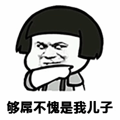骄傲儿子表情包