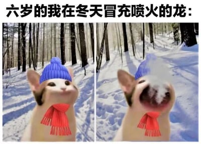 这是一张左右对比的梗图，上方配有文字'六岁的我在冬天冒充喷火的龙：'。左侧画面中，一只戴着蓝色针织帽和红色围巾的猫站在积雪覆盖的森林里，表情平静；右侧画面中，同一只猫张大嘴巴，口中呼出白色雾气，仿佛在模仿喷火龙喷火的样子，幽默地再现了孩童在冬天哈气假装喷火的可爱场景。