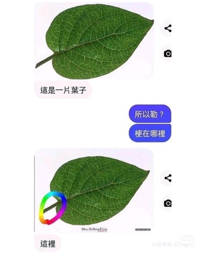 这是一组由两张竖屏手机聊天界面图组成的冷笑话梗图，玩的是谐音双关的搞笑效果：
1. 第一张图中，一方发送带叶柄的叶子并配文「這是一片葉子」，另一方回复「所以勒？」「梗在哪裡」，这里的「梗」一语双关，既指聊天内容的笑点，也谐音植物的茎梗（叶柄）；
2. 第二张图中，发送叶子的一方用彩色圈标注出叶子的叶柄，回复「這裡」，将双关的冷笑话落地，用实物叶柄回应「梗在哪里」的提问，制造出无厘头的冷幽默。