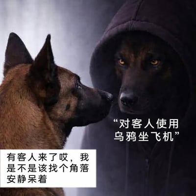 这是一张经过P图改编的搞笑拟人梗图，画面呈现两只狗狗的互动场景：左侧是一只表情温顺、带着疑惑的普通狗狗，配文表现出它面对客人时的乖巧内敛，想着要找角落安静待着；右侧是被P上深色连帽衫的狗狗，眼神凶狠，配文引用《成龙历险记》里的经典热梗“对客人使用乌鸦坐飞机”。图中通过动物拟人的方式，将狗狗代入人类社交场景，普通狗狗的乖巧和“大佬狗狗”的凶狠指令形成强烈反差，用魔性热梗制造出荒诞搞笑的效果，调侃面对访客时的两种极端反应。