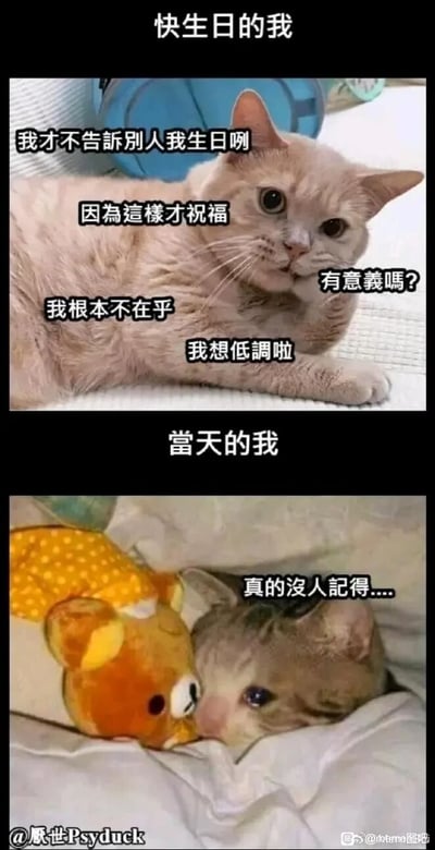 这是一张上下分栏的对比式表情包，上半部分标题为“快生日的我”，展示了一只浅色猫咪趴在平面上，配文模拟了嘴硬傲娇的心理活动：嘴上说着不告诉别人自己的生日，觉得主动换来的祝福没有意义，声称自己根本不在乎、想低调，神态故作不在意；下半部分标题为“當天的我”，展示了一只猫咪抱着轻松小熊玩偶，眼角含泪地埋在被子里，配文“真的沒人記得....”，呈现出内心期待落空的委屈状态。整张图精准还原了很多人在生日时嘴上逞强、内心却渴望被记住的矛盾心理，用猫咪的生动表情放大了这种反差感，引发强烈共鸣，属于搞笑又贴近日常的情绪表达类表情包。