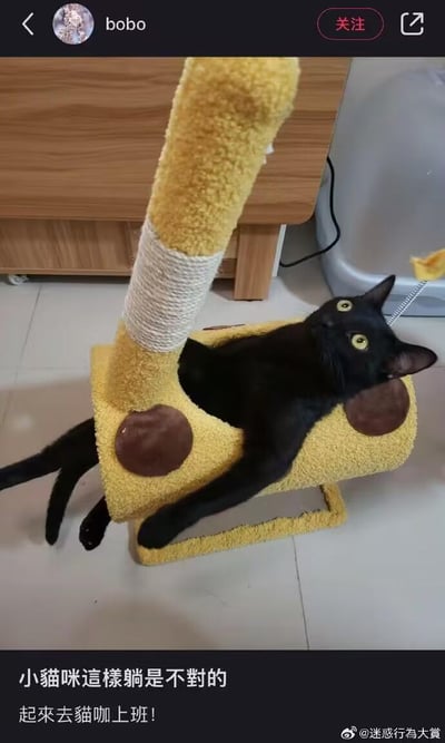 一只纯黑猫咪正以极其别扭的姿势躺在黄色猫抓板上，身体从抓板的圆形孔洞中穿过，前爪搭在抓板边缘，后腿伸直，头部后仰瞪着圆溜溜的黄色眼睛看向斜上方，表情看起来有些无辜又惊讶。猫抓板设计成类似小房子的形状，顶部有一根缠绕麻绳的立柱。背景中可见木质家具和白色收纳箱。图片底部配有文字“小猫咪这样躺是不对的 起来去猫咖上班！”，用拟人化的语气调侃猫咪的慵懒姿势，仿佛在催促它去猫咖“打工”，充满生活趣味和幽默感。