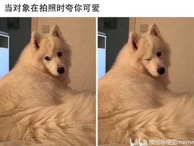 暂无描述