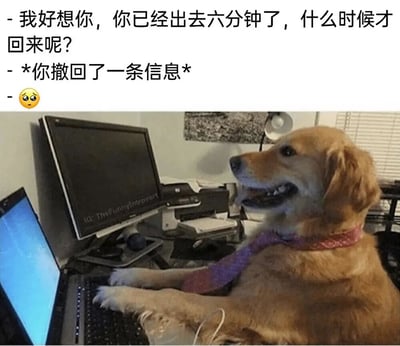图片上方是三行模拟聊天记录的文字：“我好想你，你已经出去六分钟了，什么时候才回来呢？”“*你撤回了一条信息*”和一个😥表情。下方是一只戴着粉色项圈和紫色领带的金毛犬，正坐在电脑前，两只前爪放在笔记本电脑键盘上，面前还有一个台式机显示器，看起来像是在模仿人类发送消息。通过夸张地表现宠物在主人短暂离开后就极度思念的状态，制造出幽默效果。