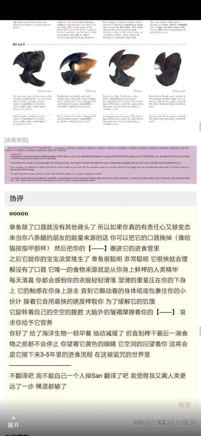 这是一张竖屏的图文混排截图，上半部分是关于头足类动物（以章鱼为代表）的喙部生物学科普内容，包含Octopodidae、Teuthidae、Sepiidae、Nautilidae四种不同类别的头足类喙部实物图示，搭配英文说明文字，详细介绍了不同喙部的形态结构与对应的捕食功能，比如有的适合撕碎猎物、有的适合刺穿带壳猎物；下半部分是社交媒体平台的热评区域，热评内容为一段违背伦理与常识的猎奇幻想文字，描述了一种将章鱼作为特殊依赖者的病态互动场景，最后还有评论者的自我吐槽，称这段内容让人“掉San”（失去理智/精神污染），纠结于是否翻译的心态。整体内容结合了严肃的动物科普与荒诞的网络猎奇创作，风格反差强烈。