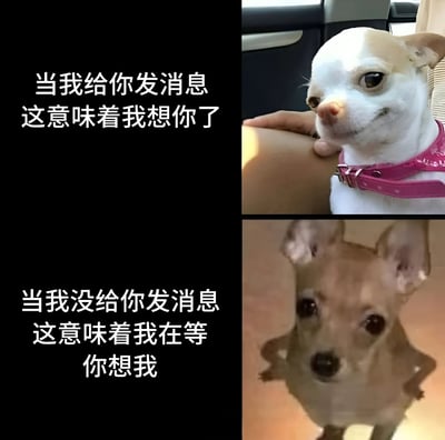 这是一张上下两格的多图拼接梗图，采用图文混排形式。上半部分左侧黑色背景配白色文字：'当我给你发消息 这意味着我想你了'，右侧是一只戴着粉色 harness 的吉娃娃在车内倚靠在人的手臂上，表情看起来满足又乖巧。下半部分左侧同样黑色背景白色文字：'当我没给你发消息 这意味着我在等你想我'，右侧是同一只吉娃娃抬头看的画面，眼神显得有些期待。整体通过狗狗的不同状态和文字对比，以可爱俏皮的方式表达了思念他人时的两种心理状态。