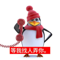 高雅人士