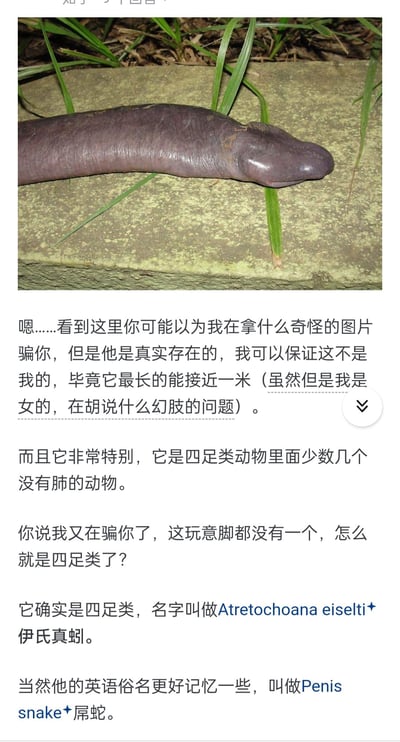这是一篇趣味科普图文，上方是伊氏真蚓的野外实拍图，该动物外形酷似男性生殖器，英文俗名为Penis snake（屌蛇）；下方文字以调侃的语气介绍：它是真实存在的物种，最长接近一米，是四足类动物中少数没有肺的成员，尽管没有四肢但仍属于四足类。
梗点说明：作者以自身女性身份玩梗调侃该动物的外形，同时物种的英文俗名和外形都带有性暗示，增加了内容的趣味性和猎奇感。