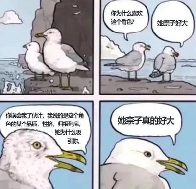 四格连环漫画，场景设定在海边岩石上，两只海鸥展开关于角色喜好的对话。第一格：两只海鸥并肩站立在海浪拍打的岩石上；第二格：左侧海鸥问“你为什么喜欢这个角色？”，右侧海鸥直白回答“她奈子好大”；第三格：左侧海鸥试图引导深入讨论“你误会我了伙计，我说的是这个角色的某个品质，性格，归根到底，她为什么吸引你”；第四格：右侧海鸥坚持重复“她奈子真的好大”。
图片通过海鸥间的对话制造反差幽默，讽刺部分人喜欢角色时只关注身材等外在特征而非内在品质，“奈子”为网络俚语，指女性胸部，是笑点核心。