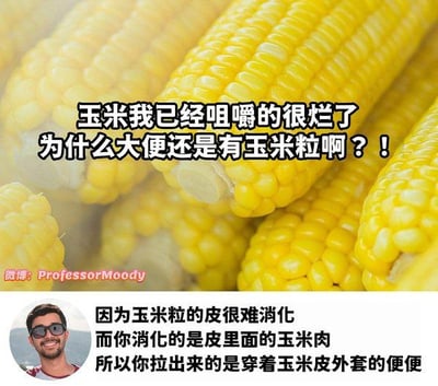 这是一张以玉米为背景的科普梗图，主旨是幽默地解释“为什么即使把玉米嚼得很烂，大便里还是能看到完整玉米粒”的现象。上方用大号字体提出疑问，下方以网络科普博主的口吻回答，因为玉米的外皮难以消化，实际上消化的是玉米内的淀粉和部分内容物，最终粪便中的玉米粒外观还完好，造成了“玉米皮便便”这种常见现象。整体语言轻松诙谐，带有生活类趣味科学气息，适合传播在社交平台和生活群聊中。无明显双关、谐音或暗示。