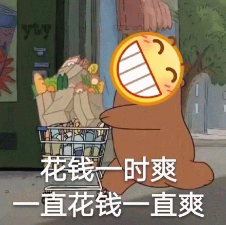 花钱一时爽 一直花钱一直爽 卡通熊购物表情包