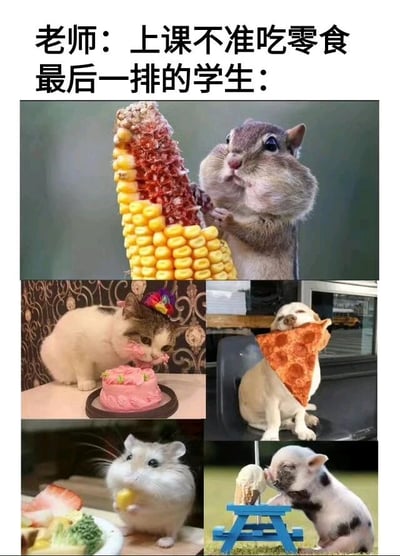 这是一张搞笑梗图，上方文字写着"老师：上课不准吃零食 最后一排的学生："，下方是五张动物吃东西的图片拼接，分别是：抱着玉米啃的松鼠、戴着派对帽吃蛋糕的猫、嘴里叼着披萨的狗、捧着玉米的仓鼠、以及正在吃冰淇淋的小猪。通过可爱动物们不顾规则尽情享用食物的样子，幽默地表现了最后一排学生偷偷违反课堂纪律吃零食的场景，形成了有趣的反差萌效果。