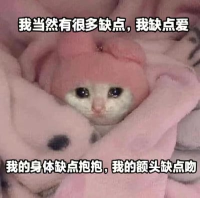一只被粉色毛毯包裹的幼猫，露出一双水汪汪的大眼睛，表情无辜又可爱。图片上方和下方分别配有文字：“我当然有很多缺点，我缺点爱”和“我的身体缺点抱抱，我的额头缺点吻”。这里运用了谐音梗，将“缺点”（原指不足之处）巧妙曲解为“缺少一点”，以俏皮撒娇的方式表达对关爱、拥抱和亲吻的渴望，整体氛围温馨治愈。
