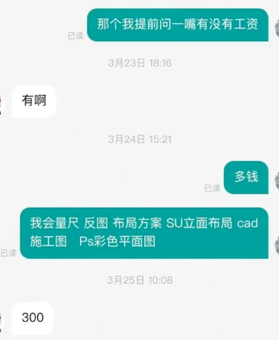 这是一张聊天记录截图，显示了一段关于工作报酬和技能的对话。对话从3月23日持续到3月25日，一方询问是否有工资，得到肯定答复后进一步询问金额，随后列出了自己掌握的技能，包括量尺、反图、布局方案、SU立面布局、cad施工图和Ps彩色平面图，最后对方给出了300元的报价。
