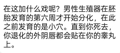 这是一张横版白底黑字的纯文字静态图，内容首先以反问语气驳斥他人“加戏”的行为，随后科普了男性胚胎生殖器官的发育常识：男性生殖器官在胚胎发育第六周才开始分化，分化前的初始生殖结构为雌性相关结构，分化后残留的退化结构会伴随男性终身，整体表述直白犀利，带有强烈的情绪输出属性。