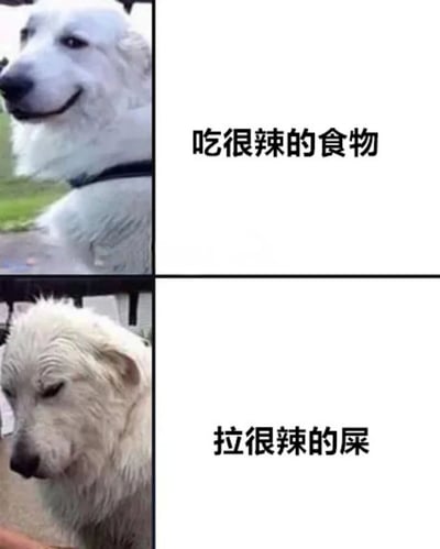 该图为2x2网格的多图拼接连环图，通过对比展现狗子吃辣前后的表情变化。左上为白色犬侧视，表情平静略带微笑；右上配文“吃很辣的食物”；左下为同一只狗低头，表情沮丧且略显不适；右下配文“拉很辣的屎”。整体以幽默方式呈现吃辣后的连锁反应，通过狗子表情的鲜明反差制造笑点。