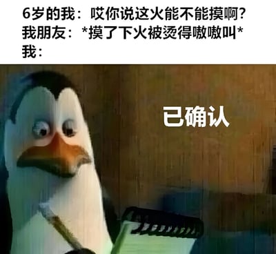 图片上半部分为文字对话：6岁的我问朋友“这火能不能摸啊？”，朋友摸火后被烫得嗷嗷叫，最后“我”的回应部分配上了《马达加斯加》中企鹅Skipper的截图，角色表情淡定，旁边配有“已确认”文字，幽默展现通过朋友的“亲身测试”确认了火会烫手的童年趣事场景。