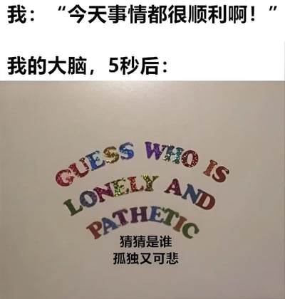 图片上半部分为黑色文字：'我：“今天事情都很顺利啊！”' 和 '我的大脑，5秒后：'。下半部分是一张带有彩色闪粉效果的图片，上面有英文文字“GUESS WHO IS LONELY AND PATHETIC”，下方配有中文翻译“猜猜是谁 孤独又可悲”。整体通过对比“事情顺利”的积极表述与大脑随后产生的“孤独又可悲”的消极自我暗示，以幽默方式展现人们内心的情绪反差和自我调侃。