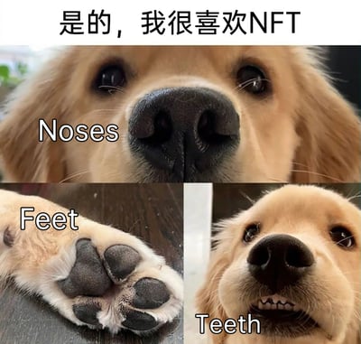 这是一张多图拼接的搞笑宠物梗图，运用谐音梗玩了当下流行的NFT概念的文字游戏。图中顶部配有中文文字“是的，我很喜欢NFT”，下方将NFT拆解为三个英文单词的首字母：N对应“Noses”（金毛犬的鼻子，第一张图是金毛犬凑近镜头，展示自己的鼻子，眼神无辜），F对应“Feet”（金毛犬的爪子，第二张图展示了金毛犬带有肉垫的爪子），T对应“Teeth”（金毛犬的牙齿，第三张图是金毛犬露出牙齿，表情搞怪）。通过将专业的NFT概念替换为宠物的可爱部位，制造出反差感和搞笑效果，是结合宠物可爱形象与网络流行词汇的趣味创作。