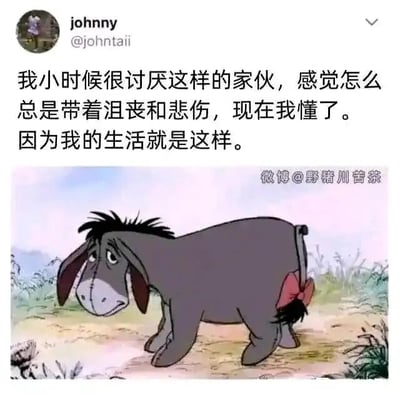 这是一张社交媒体截图，属于顶配底文图的形式。图中顶部是Twitter（X）用户johnny（@johntaii）的发文，内容为“我小时候很讨厌这样的家伙，感觉怎么总是带着沮丧和悲伤，现在我懂了。因为我的生活就是这样。”下方配的是迪士尼经典动画《小熊维尼》里的角色屹耳的截图，屹耳耷拉着耳朵，眼神无神，表情沮丧低落，姿态无精打采。这张图通过用户的文字和动画角色的状态，精准表达了当代很多人长大后被生活消磨，从讨厌丧的状态到自己也变得丧丧的共鸣感，戳中了不少人的生活情绪。图片右下角还有微博用户@野猪川苦茶的水印，说明该内容被搬运到了微博平台。