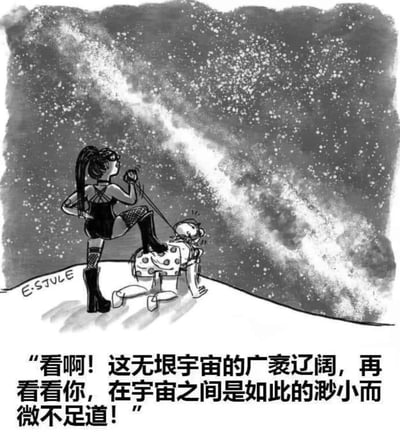 黑白插画风格的讽刺漫画，描绘一位身着黑色紧身衣、长靴和渔网袜的女性角色，手持鞭子，一脚踩在另一跪地人物背上。背景是浩瀚星空和银河，突显宇宙的广袤。底部文字写道："看啊！这无垠宇宙的广袤辽阔，再看看你，在宇宙之间是如此的渺小而微不足道！"通过宇宙的宏大与人类的渺小形成对比，传达讽刺意味。