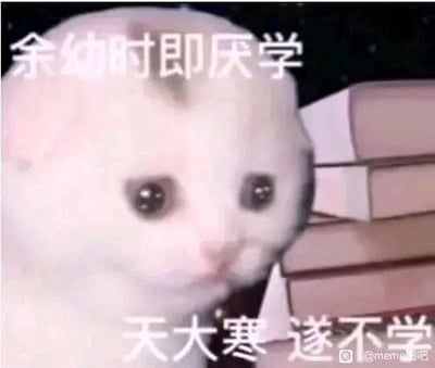 这是一张文字加注类的静态表情素材图，画面主体是一只双眼含泪、神情委屈的白色小猫，背景是堆叠的书本，图中配有两行白色文字“余幼时即厌学，天大寒 遂不学”。该内容改编自明代宋濂《送东阳马生序》中的“天大寒，砚冰坚，手指不可屈伸，弗之怠”，将原文中刻苦求学的表述反转为逃避学习的借口，用委屈小猫的形象放大了不想学习的情绪，整体风格搞笑诙谐，适合用来调侃厌学、想要偷懒的心情，图片右下角带有“@meme吧”的水印。