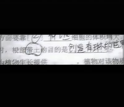 这是一张结合了初中生物试题和动漫《火影忍者》梗的趣味截图，试题题干出现“根部带土”的表述，网友玩梗在对应填空处填写了“创造有琳的世界”，对应火影角色宇智波带土的经典剧情愿望——创造有心上人野原琳存在的世界，“带土”二字也被特意圈出，实现了试题文本和动漫内容的趣味联动。