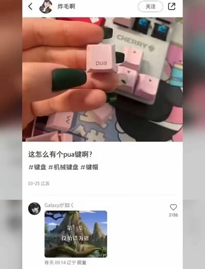 这是一张国内社交平台的帖子截图，用户「炸毛啊」展示了一枚印有「pua」字样的粉色机械键盘键帽，配文疑惑发问「这怎么有个pua键啊？」，并带上了#键盘 #机械键盘 #键帽 相关话题，定位显示为江苏，发布日期为03-25。评论区用户「Galaxyが如く」回复了一张动画场景图，配文「第一集 投胎错为猪」，玩了谐音梗，将「pua」与「猪八戒（猪）」关联，制造出荒诞搞笑的效果，调侃这个特殊键帽的奇葩之处。
