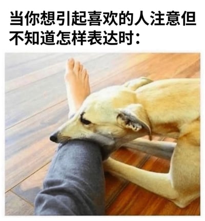 图片上方配有文字“当你想引起喜欢的人注意但不知道怎样表达时：”，下方是一张真实照片：一只浅黄色的狗趴在木地板上，将头部轻轻靠在一个人的小腿上（仅露出小腿和赤脚），狗狗眼神温柔，姿态亲昵。画面通过狗狗依赖主人的自然动作，幽默比喻了人类在暗恋时想吸引对方注意却又羞涩不敢直接表达的心理状态，整体氛围可爱又真实。