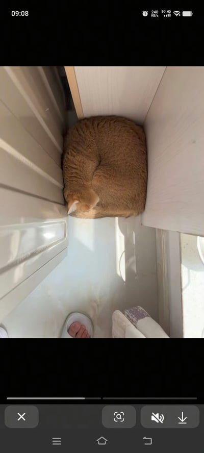 一张俯拍视角的照片，画面中央是一只胖乎乎的橘猫，它紧紧蜷缩在白色门板与浅色柜体形成的角落缝隙中，身体团成一个近乎完美的圆形毛球，四肢和脑袋都藏在毛发里，只露出一小截白色的耳朵尖。阳光透过缝隙洒在白色的地板上，形成明亮的光斑。照片下方能看到拍摄者穿着拖鞋的双脚，增添了生活场景的真实感。整幅画面充满温馨治愈的氛围，橘猫的圆润体型和乖巧姿态十分惹人喜爱。