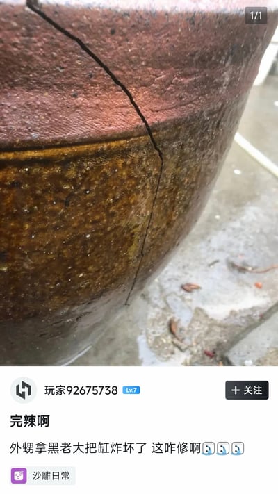 这是一张竖屏手机格式的社交媒体截图，属于图文混排内容。上方是原始拍摄的裂开的老式陶缸照片，缸身有一道明显的贯穿裂缝，放置在潮湿的地面上；下方是用户「玩家92675738」发布的帖子，配文「完辣啊 外甥拿黑老大把缸炸坏了 这咋修啊」，并附带三个流汗黄豆表情，标签为「沙雕日常」。内容讲述了用户遇到外甥用名为‘黑老大’的鞭炮炸坏家里缸的窘境，发帖求助网友，充满了无奈又好笑的沙雕氛围，其中「黑老大」是一种威力较大的鞭炮的俗称。