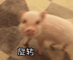小猪不停旋转：我不停歇