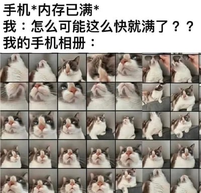 这张图通过搞笑的方式，展示了现代手机用户经常会遇到的内存不够用的问题。上方用文字模拟收到手机“内存已满”提示时，用户对为何空间这么快耗尽表示疑惑，随即下方展示了一整页几乎一模一样的猫猫照片，点出大多数人手机相册其实都被各种宠物照片占据了。
图中的可爱猫猫照片展现出“养猫人的日常”，有重复拍摄、角度都类似但舍不得删的特点，非常贴近年轻养宠用户的实际生活体验。

本图属于“手机相册梗”类表情包，也体现了生活中的无奈和自嘲。

谐音梗、双关：无直接谐音或双关，幽默点在于手机存储用尽和大量重复照片的反差。