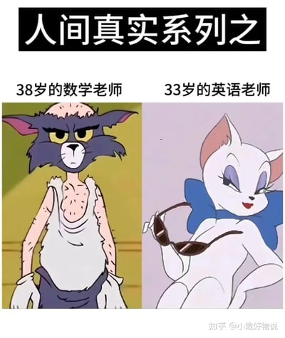 这张梗图用《猫和老鼠》里的角色来对比不同科目的老师年龄和外貌状态。左侧是“38岁的数学老师”，形象使用了形象憔悴邋遢的Tom猫，表现为头发掉光、眼神无奈、穿着破旧，表达了数学老师工作压力大、操劳的刻板印象。右侧“33岁的英语老师”则用打扮优雅、姿态自信的白猫Angela，带着墨镜、面带微笑，彰显了轻松美丽、有魅力的一面。对比突出，具有喜剧性，暗含对职业刻板印象的调侃与讽刺。