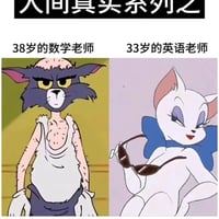 猫和老鼠