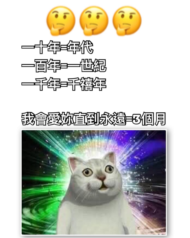 震惊猫