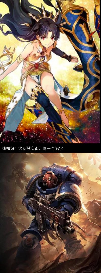 这是一张上下拼接的趣味梗图，上图是《Fate/Grand Order》中的弓阶从者伊什塔尔（俗称弓凛），她身着古美索不达米亚风格的露腰服饰，手持带有金色纹饰的巨型蓝色宝具弓，姿态动感自信；下图是《战锤40000》中的极限战士星际战士，身着标志性的蓝色动力甲，手持爆矢枪，身处硝烟弥漫的战场之中。图中配文“热知识：这两其实都叫同一个名字”，核心梗点在于：伊什塔尔的职阶为英文“Archer”（弓兵），而战锤40k中的该类星际战士相关称呼/角色名也可对应“Archer”，二者英文名称重合，形成跨ACG与桌游IP的趣味联动。