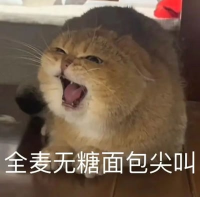 一只胖乎乎的橘猫正张大嘴巴，表情夸张，像是在发出尖叫。它的眼睛微眯，胡须翘起，脸颊圆润，整体姿态显得十分生动有趣。图片底部配有白色文字“全麦无糖面包尖叫”，将猫咪的夸张表情与对全麦无糖面包的“强烈反应”巧妙结合，形成幽默效果，仿佛猫咪在对健康但可能口感不佳的全麦无糖面包表达抗拒或惊讶。
