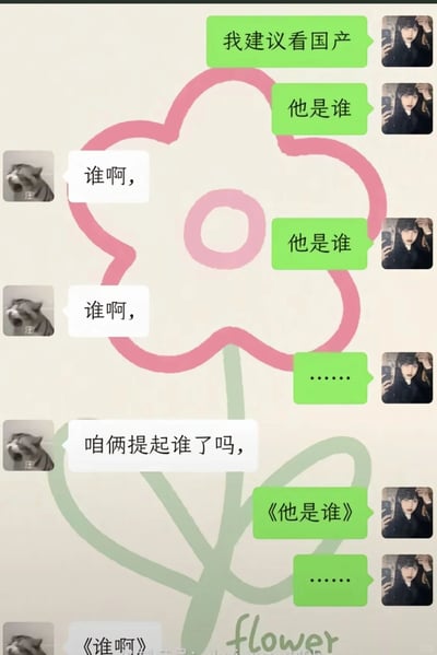 这是一张竖屏的微信聊天记录截图，背景带有手绘风格的粉色花朵图案，底部有“flower”字样。对话双方分别使用女生真人头像和带“汪”字的老虎头像：绿色气泡的女生头像用户先提出“我建议看国产”，随后发送“他是谁”，实际是在推荐国产刑侦剧《他是谁》；但老虎头像用户误以为对方是在询问某个对象的身份，连续回复“谁啊，”，还疑惑地问“咱俩提起谁了吗，”，女生头像用户随后加上书名号发送“《他是谁》”，表明这是剧集名称，之后发送省略号表达无奈，老虎头像用户则模仿回复“《谁啊》”，整个对话因剧名的表述方式产生了有趣的理解偏差，充满生活化的搞笑氛围。