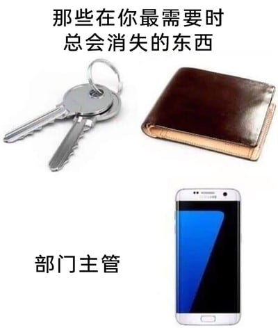 这是一张职场吐槽类的搞笑梗图，图中上方配有文字“那些在你最需要时总会消失的东西”，并展示了钥匙、钱包这两种日常生活中人们经常会突然找不到的物品；在图的下方，单独展示了一部手机，旁边标注文字“部门主管”。该图用类比的方式，调侃职场中员工需要寻求部门主管协助、解决问题时，主管往往就像找不到的钥匙、钱包、手机一样“消失不见”，精准戳中职场人的真实体验，充满趣味性与共鸣感。